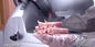 가공 식품 장비 싱크대 자동적인 고기 저미는 기계 스테인리스 잎 330mm